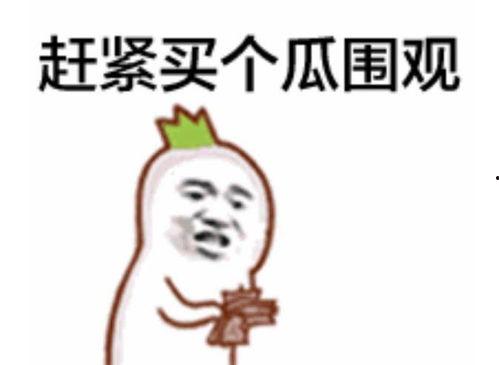 娱乐圈吃瓜的表情包是谁,娱乐圈吃瓜表情包背后的神秘制造者揭秘