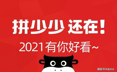 娱乐圈吃瓜的微信公众号
