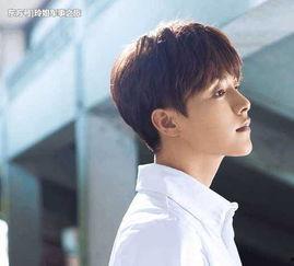 马天宇娱乐吃瓜视频大全,揭秘明星幕后生活，吃瓜视频大盘点