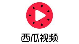 旺仔娱乐吃瓜视频大全,揭秘吃瓜视频大全，带你领略娱乐圈幕后风云
